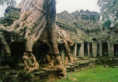 Il complesso dei templi di Angkor Wat (Cambogia)