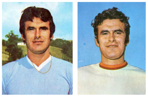 Flavio Favelli, Campioni, 2014