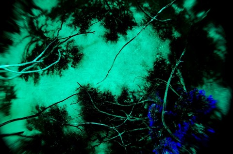 Francesco De Grandi, Mondo Nuovo #3 (part.), 2014. Legno, ferro, carta, plastica, luci di wood, pittura fluorescente, lente. 70 x 101 x 101 cm. Courtesy RizzutoGallery