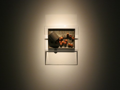 Gianfranco Baruchello - Cold Cinema – veduta della mostra presso La Triennale di Milano, 2014 