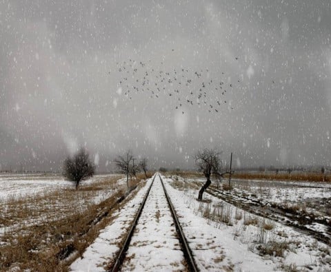 Nuri Bilge Ceylan, Winter Sleep