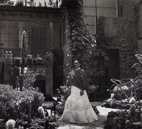 Frida nel giardino di Casa Azul