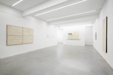 Installation View, Pier Paolo Calzolari, Ronchini Gallery, 23 January - 7 March 2015, Courtesy Ronchini Gallery (4)