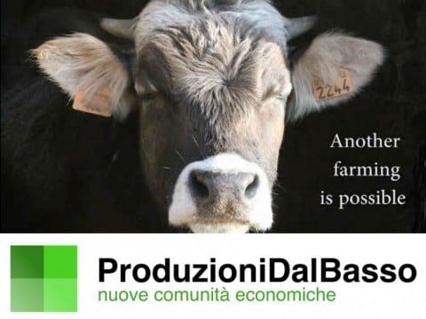 Produzioni dal Basso