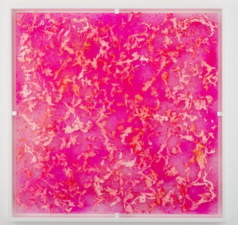 Alfredo Pirri, Arie, 2014 Acciaio verniciato, plexiglas tinto in pasta, piume conciate, resine e vernici acriliche, vernice alla nitrocellulosa, 110 x 110 cm