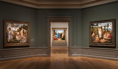 Piero di Cosimo, National Gallery of Art Washington