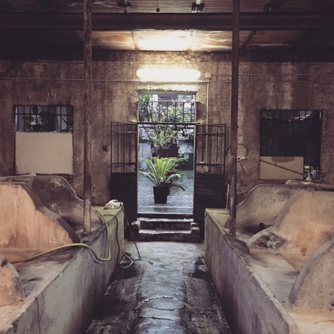 Il lavatorio di Palazzo Lamperini, Roma