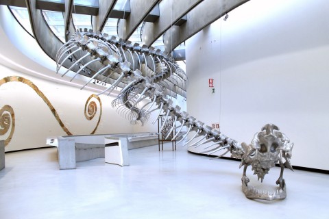 Huang Yong Ping, Bâton Serpent, 2014, MAXXI - Roma. Foto: Cecilia Fiorenza