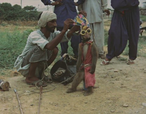 Sigmar Polke, Quetta's hazy blue hair (Afghanistan-Pakistan 1974/76) - still da video