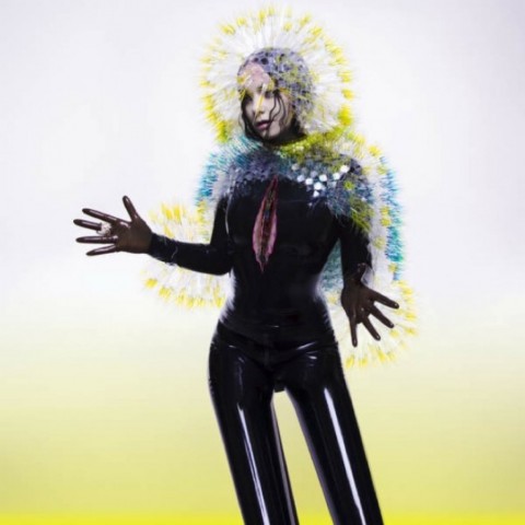 Björk, Vulnicura (2015)