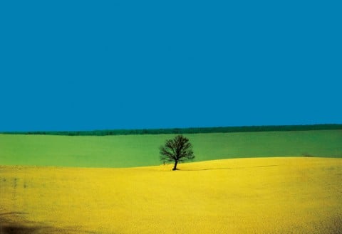Franco Fontana, Landscape, Italia, 1987