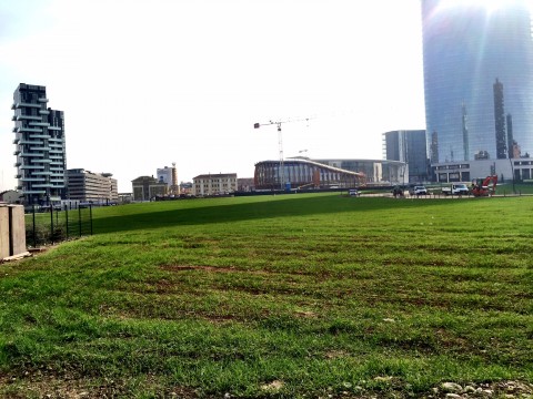 L'intervento di land art di Agnes Denes a Porta Nuova