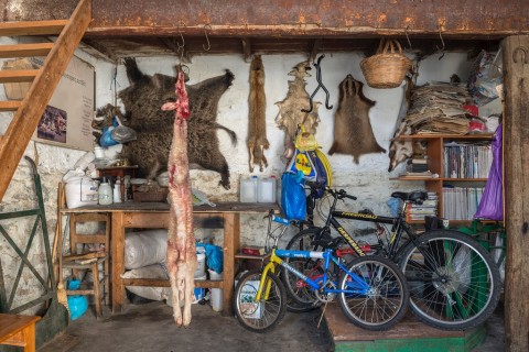 Maria Papadimitrou, Agrimiká. Why look at animals_ - materiali per il Padiglione della Grecia - Biennale di Venezia 2015