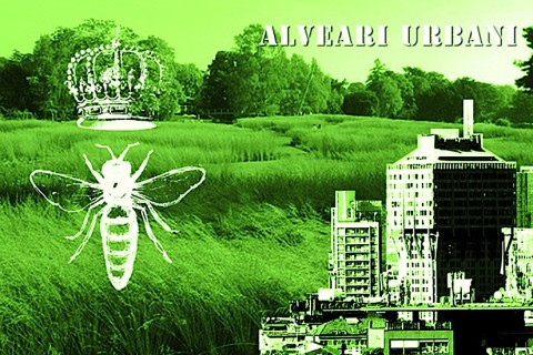 SCIAME URBANO