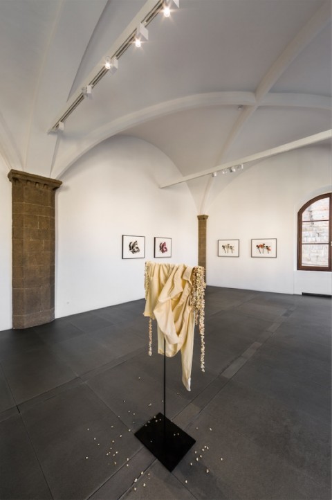 The Language of Flowers - veduta della mostra presso il Museo Gucci, Firenze 2015 - photo Alessandro Moggi - © Gucci
