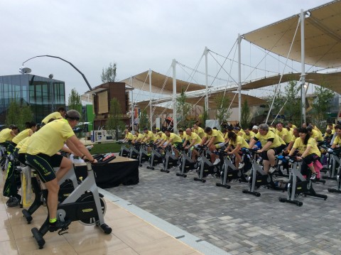 Area Technogym, Expo Milano 2015