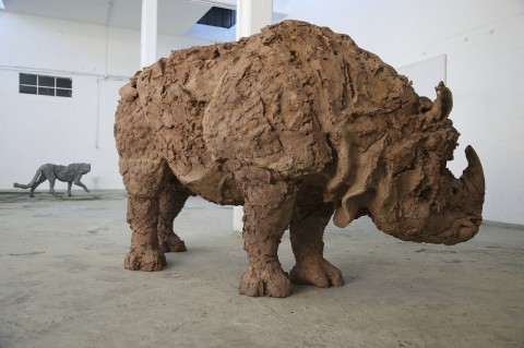 Davide Rivalta, Rinoceronte indiano