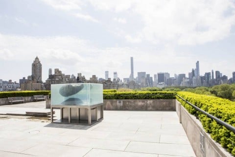 Pierre Huyghe sul tetto del Metropolitan Museum di New York