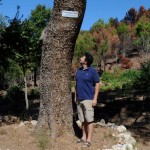 Scuola Civica d’Arte Contemporanea di Iglesias - Ettore Favini