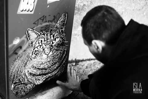 C215 a Palermo - foto Isla Produzioni