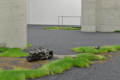 Rochelle Goldberg – The Cannibal Actif - veduta della mostra presso la Galleria Federico Vavassori, Milano 2015