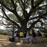 Traduzioni - workshop Aquilonia, 2015 14