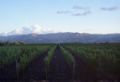 Viaggio in Sicilia #6 - appunti dal tour