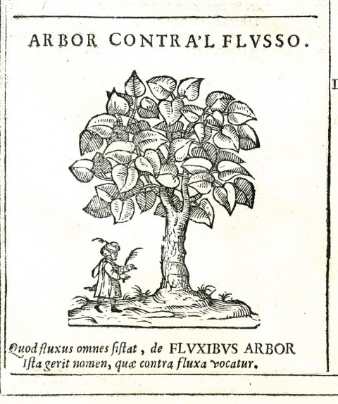 Arbor contra'l flusso di Leonardo Parasole da Norcia, 1585