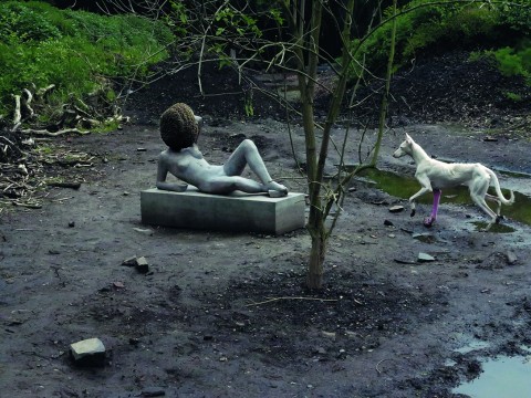 Pierre Huyghe, Untilled, 2011–12 - Courtesy the artist; Marian Goodman Gallery, New York, Paris; Esther Schipper, Berlin. Commissioned and produced by dOCUMENTA (13) with the support of Colección CIAC AC, Mexico; Fondation Louis Vuitton pour la création, Paris; Ishikawa Collection, Okayama, Japan