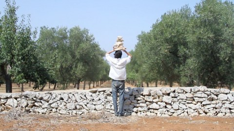 Apulia Land Art Festival 2015 - Calixto Ramirez, Trullo, 2015, still da video