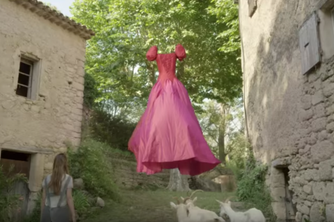 Agnes Varda, Les 3 Boutons