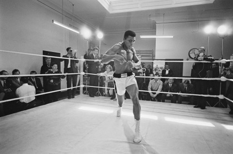 Muhammad Ali (Cassius Clay, all'anagrafe)