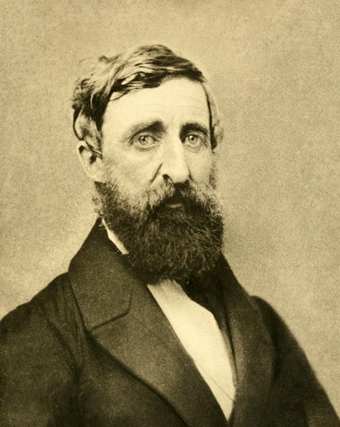 Henry David Thoreau, 1861