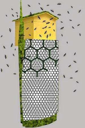 La torre delle api, alveare urbano di Andrea Lberni pe Green Island