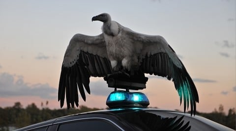 Matthew Barney and Jonathan Bepler, River of Fundament, 2014, Filmstill, photo Hugo Glendinning © Matthew Barney, Courtesy Gladstone Gallery, New York und Brüssel