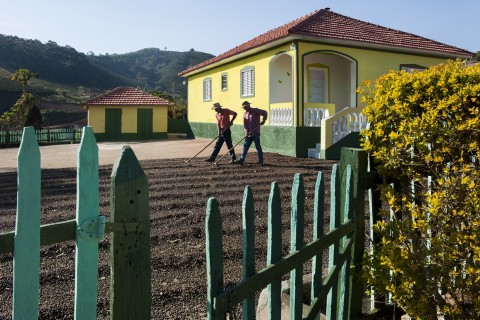Steve McCurry, Farmers spread coffee beans to dry, Lambari, Brazil, 2010