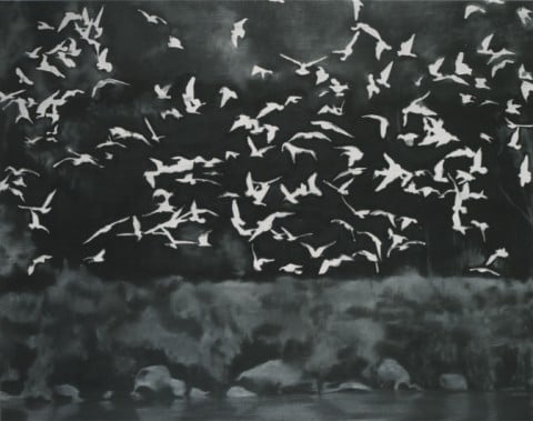 Gerhard Richter, Vögel, 1964