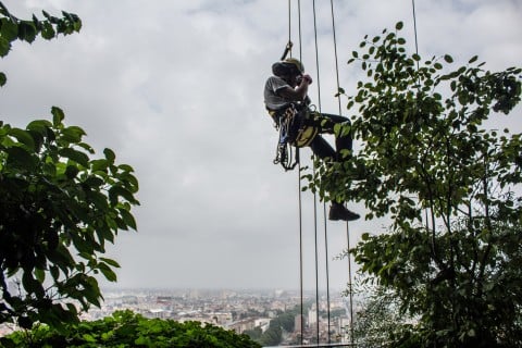 The Flying Gardeners - foto: Laura Cionci