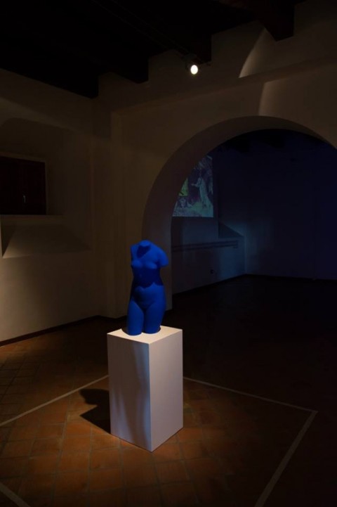 Venus Blue, Omaggio ad Yves Klein
