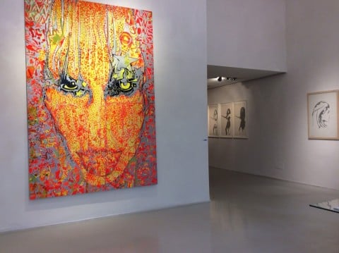 Giosetta Fioroni - veduta della mostra presso Marcorossi Artecontemporanea. Milano 2015