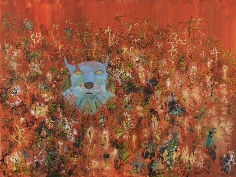 John Lurie, Decaying Blue Lynx Head