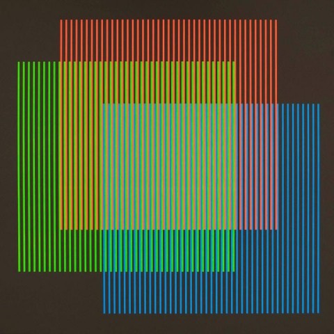 Carlos Cruz-Diez