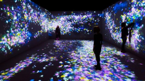 Un'installazione di teamLab