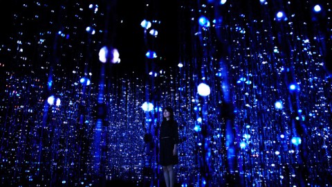 teamLab - installation view at Pace Gallery, New York 2016