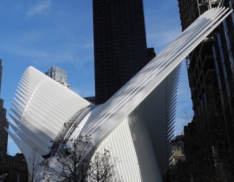 Il World Trade Center Transportation Hub di Santiago Calatrava, a New York