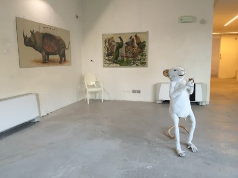 Biennale Disegno Rimini 2016 - Ericaeilcane