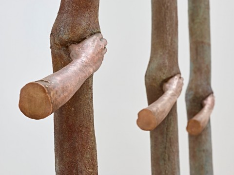 Giuseppe Penone, Trattenere 6 anni di crescita (continuerà a crescere tranne che in quel punto), 2004-10, coll. privata-- Trattenere 8 anni …, 2004-12, coll. privata - Trattenere 12 anni …, 2004-16, coll. privata - photo Mart, Archivio fotografico e mediateca/Carlo Baroni