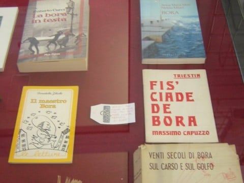 Libri dall’archivio multimediale del Museo della Bora e del Vento a Trieste