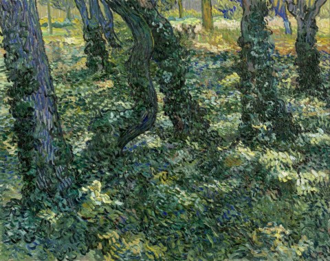 Vincent van Gogh, Sottobosco, 1889
