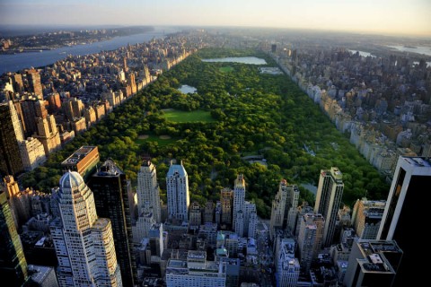 new_york_central_park_tcm55-124240